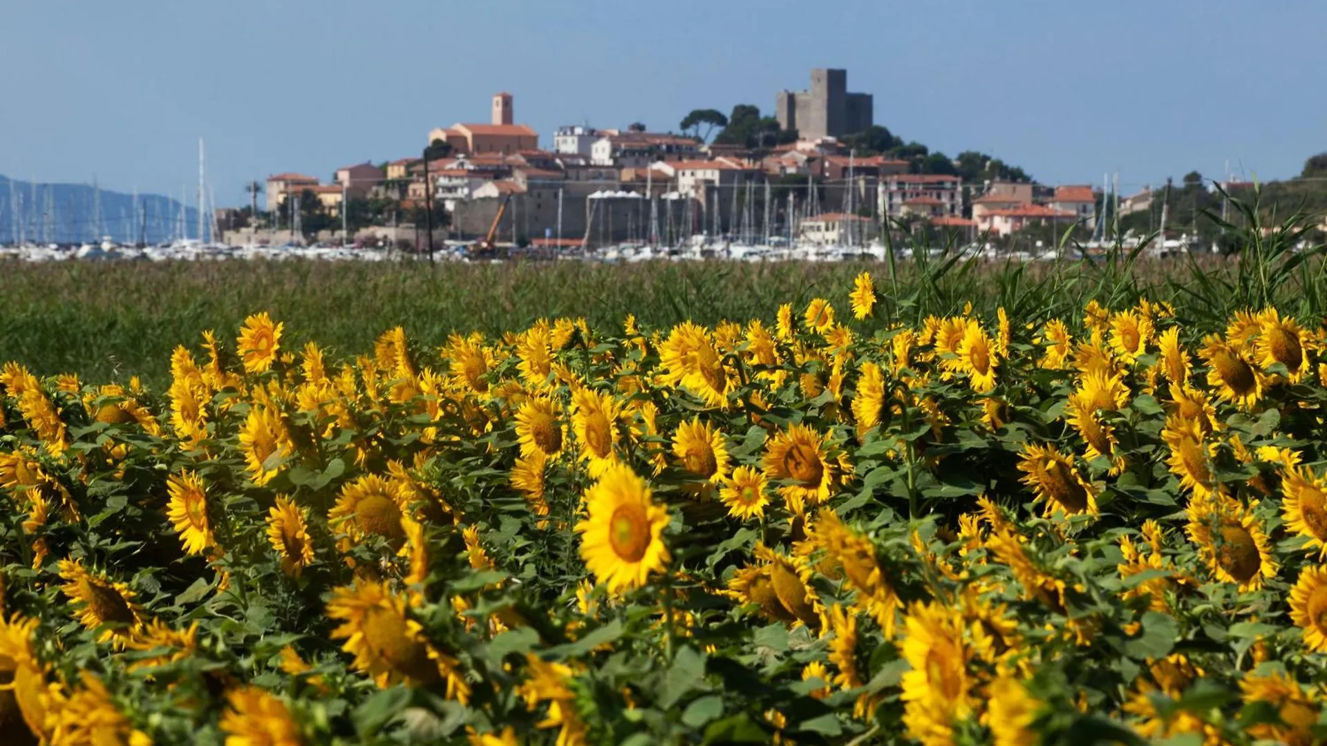 Apartment Appartamento Talamone - Santa Francesca Italy