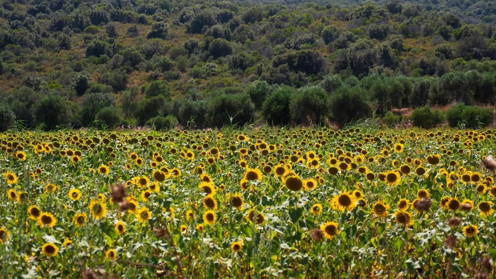 Appartamento Talamone - Santa Francesca 0*,  Italy